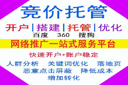 百度推广实战攻略：案例与策略